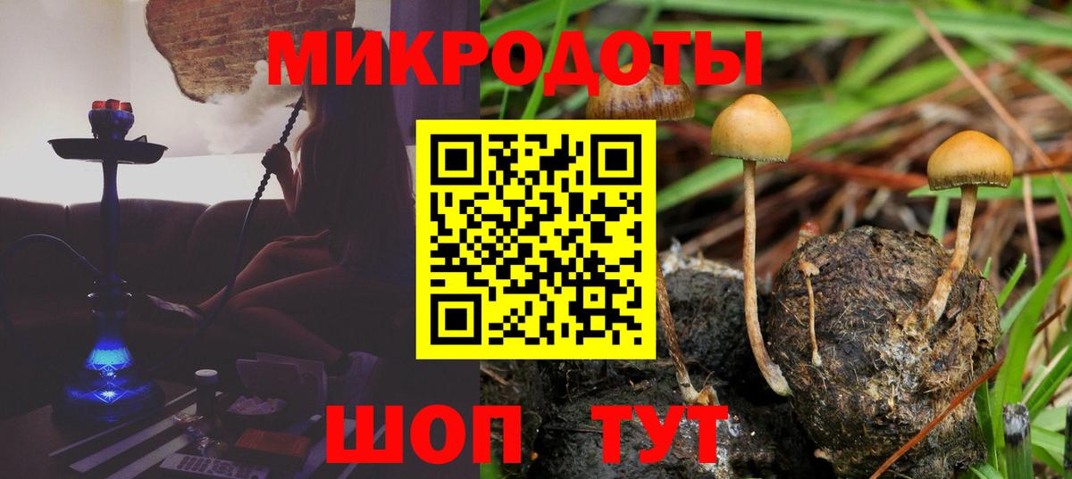 Кубинка  Псилоцибиновые грибы мицелий  Вход с VPN 